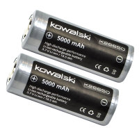5000MAH battery for PICO XR/MINI XR #K26650