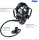 Panorama Nova Dive  (T53510)