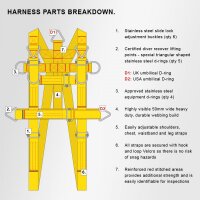 BELL SAFETY HARNESS