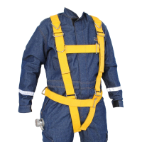 BELL SAFETY HARNESS